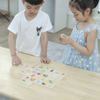 Shape Puzzle
