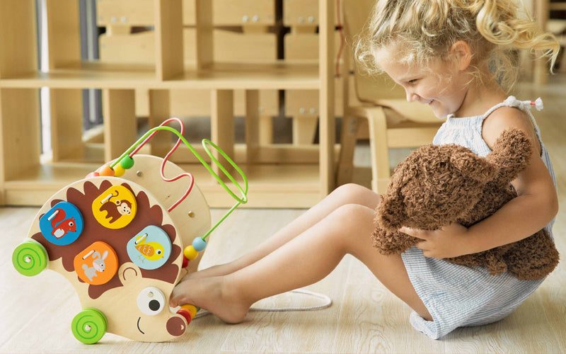 Hedgehog Pull Toy